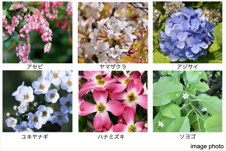 シティテラス横浜仲町台壱番館の植栽